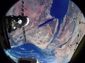 Seperti Apa Bumi Masa Lalu? DNA Sarang Hewan Ini Beri Jawaban