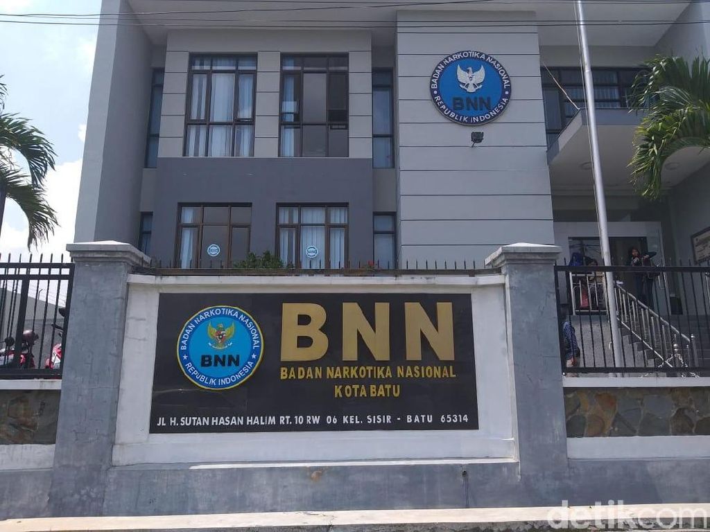 BNN Buka Lowongan Kerja untuk Lulusan SMK, D3, dan S1, Ini syaratnya BNN Buka Lowongan Kerja untuk Lulusan SMK, D3, dan S1, Ini syaratnya