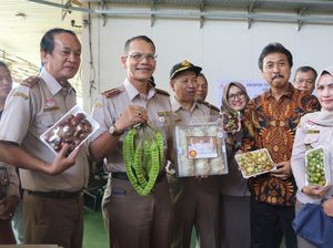 Jengkol Hingga Petai Diekspor, Nilainya Tembus Rp 1,26 T Jengkol Hingga Petai Diekspor, Nilainya Tembus Rp 1,26 T