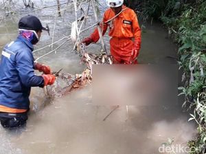 4 Hari Hilang, Warga Blitar Ditemukan Tewas Mengambang 4 Hari Hilang, Warga Blitar Ditemukan Tewas Mengambang