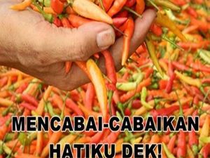 Huah! Pedasnya 8 Meme Cabe Ini Dijamin Bikin Lebih Happy