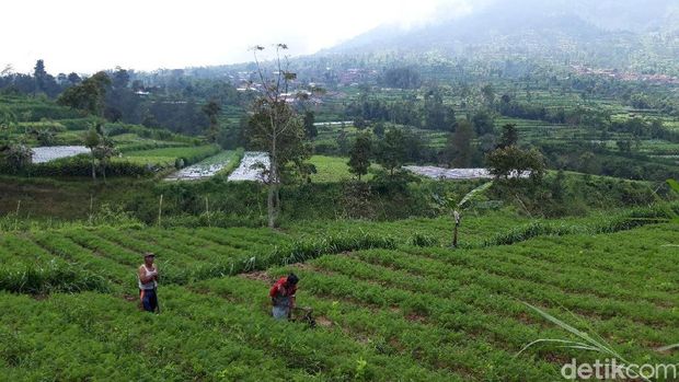 BPPTKG: Erupsi Merapi Kali Ini Bahkan Bisa Dinikmati Keindahannya