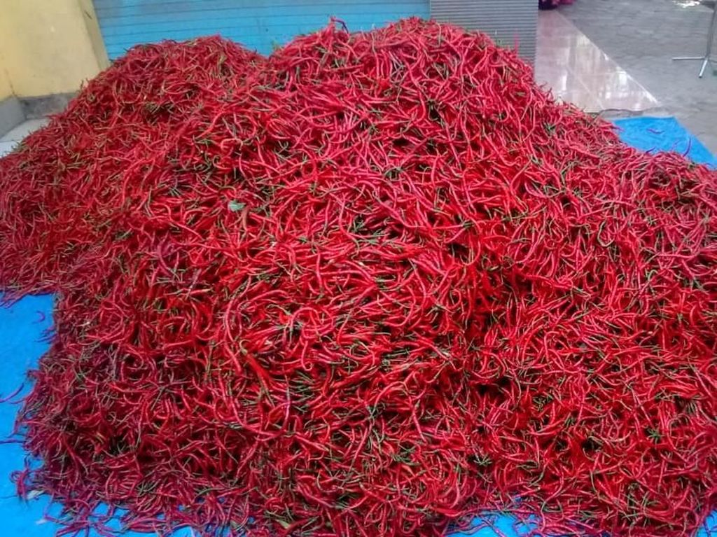 Jaga-jaga Harga Cabai Anjlok, Petani Bikin Sambal untuk Diekspor Jaga-jaga Harga Cabai Anjlok, Petani Bikin Sambal untuk Diekspor