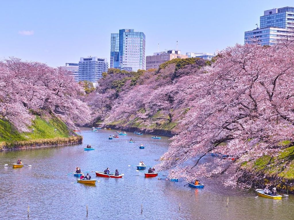 Foto: 7 Tempat Romantis di Tokyo untuk Syahrini dan Reino Barack