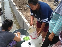 PDAM Mampet, Emak-emak di Surabaya Cuci Baju Pakai Air Selokan