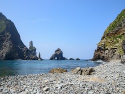 Waduh, Ada Janda Hidup Sendiri di Pulau Sengketa Korsel-Jepang