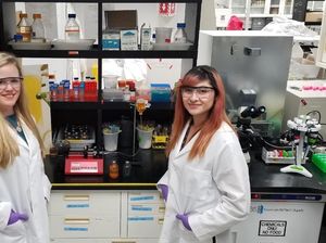 NASA Sukses Tiru Kejadian Dimulainya Kehidupan di Bumi