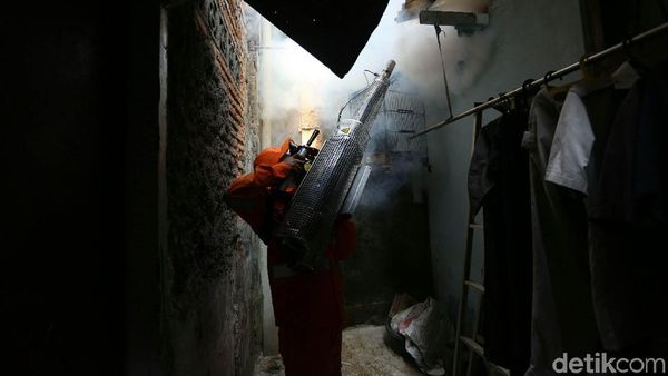 Aksi Heroik Petugas Memberantas Nyamuk Penyebab DBD