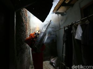 Aksi Heroik Petugas Memberantas Nyamuk Penyebab DBD Aksi Heroik Petugas Memberantas Nyamuk Penyebab DBD