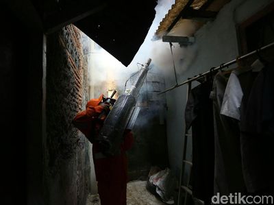 Aksi Heroik Petugas Memberantas Nyamuk Penyebab DBD