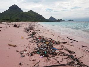 Saat Pantai Pink di Pulau Padar Tertutup Sampah
