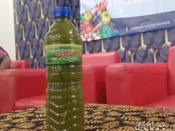 Daun Singkong Daun Kedondong: Bukan Pantun, Ini Superfood Temuan LIPI