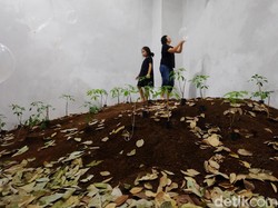 Menikmati Kebun Karet Mini Sambil Main Getah di Museum MACAN