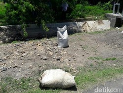 Warga Situbondo Temukan Belasan Sak Berisi Bubuk Mencurigakan