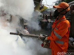 Ketua MPR Juga Kena DBD, Bukti Nyata Nyamuk Bisa Gigit Siapa Saja