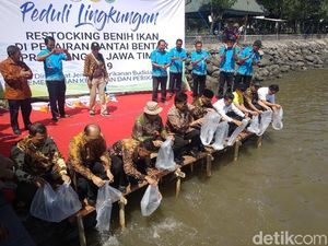 Belasan Ribu Benih Kakap Putih Ditebar di Perairan Laut Probolinggo