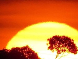 Musim Panas di Australia Tahun Ini Paling Panas Sepanjang Sejarah