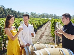 Liburan Sehari di Swan Valley, Australia Barat yang Tak Terlupakan