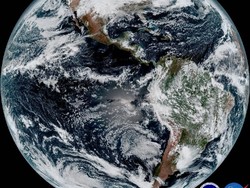 Bahayanya Tinja Manusia dan Hewan untuk Ekosistem Bumi