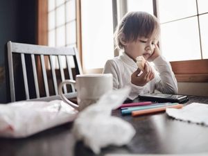 Bikin Gemas, Ketika Bjorka Anak Ringgo Saat Cicip Telur dan Apel