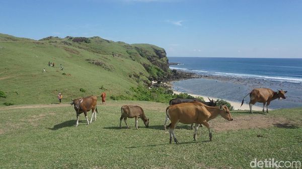 Foto: Lombok Rasa Eropa