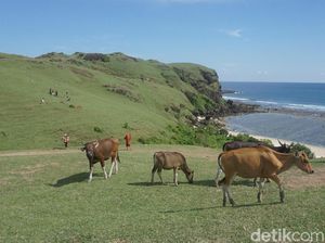 Foto: Lombok Rasa Eropa