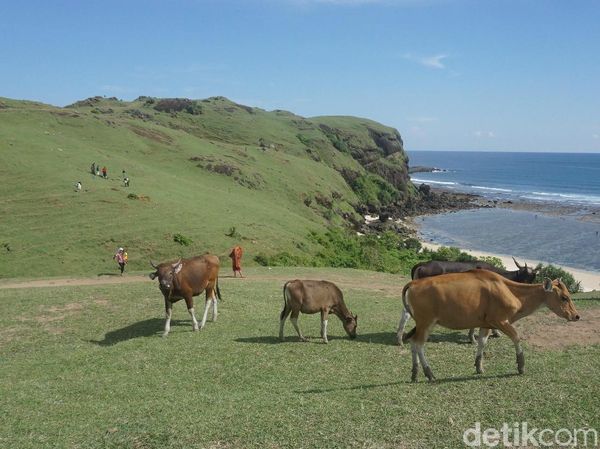 Foto: Lombok Rasa Eropa