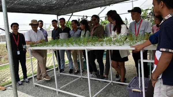Petani Muda Ikuti Pelatihan Urban Farming
