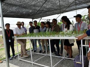 Petani Muda Ikuti Pelatihan Urban Farming