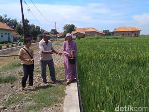 Jelang Panen, Masyarakat Cirebon Arak Tombak Keliling Desa