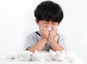 Kabut Asap hingga Polusi Udara Bisa Jadi Faktor Alergi Anak Kabut Asap hingga Polusi Udara Bisa Jadi Faktor Alergi Anak