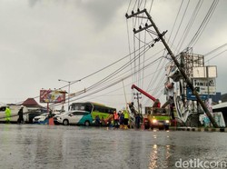 Angin Kencang Landa DIY, Belasan Pohon Tumbang dan Timpa Mobil