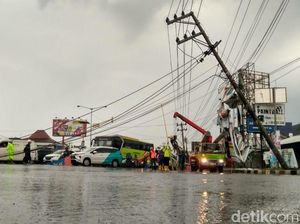 Angin Kencang Landa DIY, Belasan Pohon Tumbang dan Timpa Mobil Angin Kencang Landa DIY, Belasan Pohon Tumbang dan Timpa Mobil
