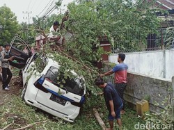 Ini Penampakan MPV yang Ringsek Hantam Pohon di Magetan