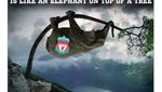 Meme Liverpool Kehilangan Posisi Puncak Klasemen Liga Inggris