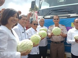 Kementan Lepas Ekspor 25 Ton Kol Berastagi ke Malaysia