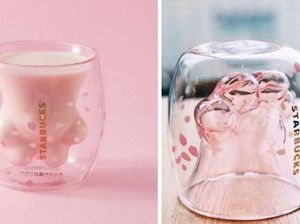 Gara-gara Cup Bentuk Tapak Kucing, Penggemar Starbucks Berkelahi!