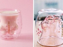 Gara-gara Cup Bentuk Tapak Kucing, Penggemar Starbucks Berkelahi!