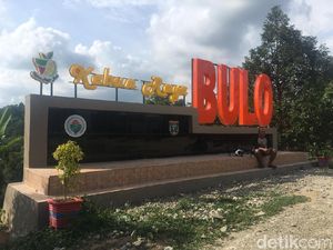 Melihat Kebun Raya Bulo, Surga Pencinta Durian di Polewali