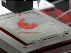 Universitas Australia Ciptakan Telinga Manusia dengan Teknologi Printer 3D