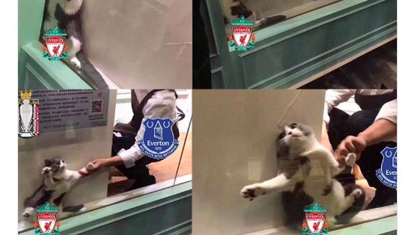 Meme Liverpool Terancam Gagal Juara (Lagi)
