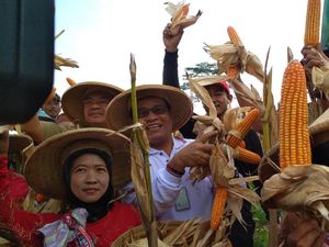 Putus Rantai Tengkulak, Petani & Peternak Bertemu Nego Harga Jagung
