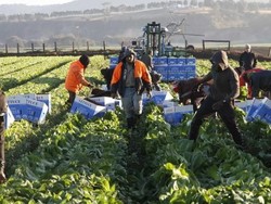 WHV Australia 2025 Resmi Dibuka, Gen-Z yang Ingin Kerja di Aussie Cek Nih! WHV Australia 2025 Resmi Dibuka, Gen-Z yang Ingin Kerja di Aussie Cek Nih!