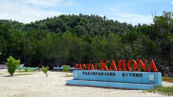 Foto: Indonesia Punya Surga di Pulau Lembeh