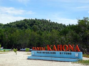 Foto: Indonesia Punya Surga di Pulau Lembeh