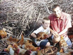 Keren! Peternak Ini Pilih Pelihara Ribuan Ayam di Hutan