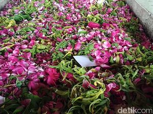 Video Kartu Nama Caleg Bertebaran di Makam Bung Karno