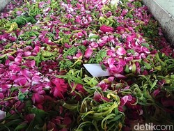 Tingkah Para Caleg Tinggalkan Kartu Nama Hingga Foto di Makam Keramat