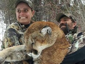 Santap Daging Singa Gunung Hasil Buruan, Pemburu Ini Bikin Geger Santap Daging Singa Gunung Hasil Buruan, Pemburu Ini Bikin Geger