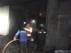 Kandang Ayam Terbakar di Demak, 75.000 Ekor Ayam Mati